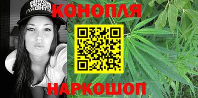 стаф Нальчик