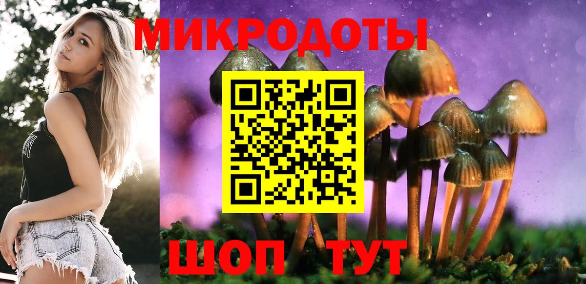 Псилоцибиновые грибы мицелий  Галлюциногенные грибы прущие грибы  Вход с VPN  Черняховск 